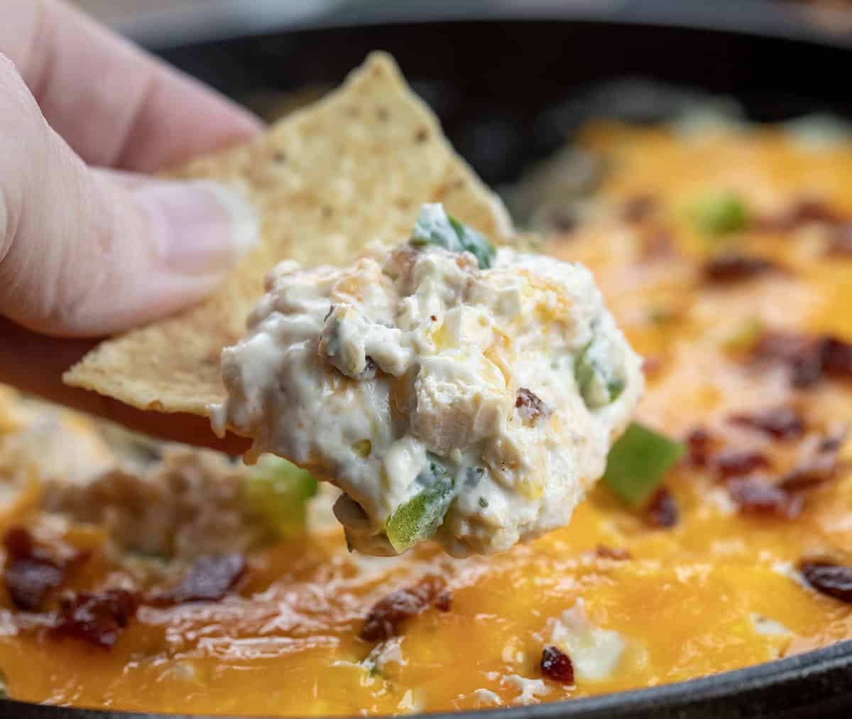 Hand holding a chip with Chicken Jalapeño Popper Dip on it.